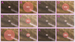 Orthophoto – colour settings